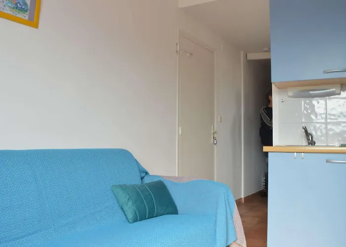 Appart T1 A 250M Plage, Clim, Wifi, Parking, Centre Banyuls - Fr-1-225C-75