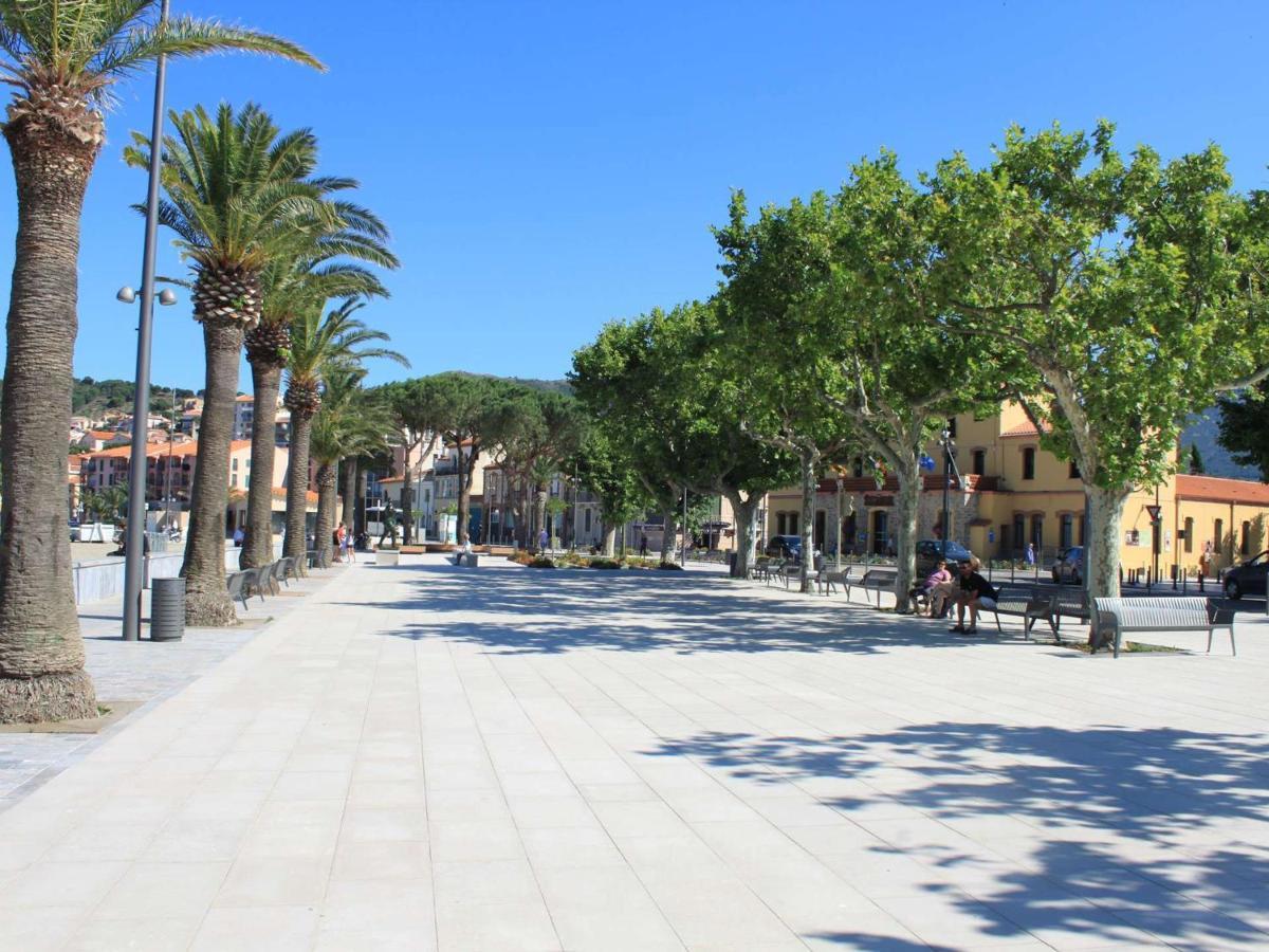 T1 A 250m Plage, Clim, Wifi, Parking, Centre - Fr-1-225c-75 * Banyuls-sur-Mer